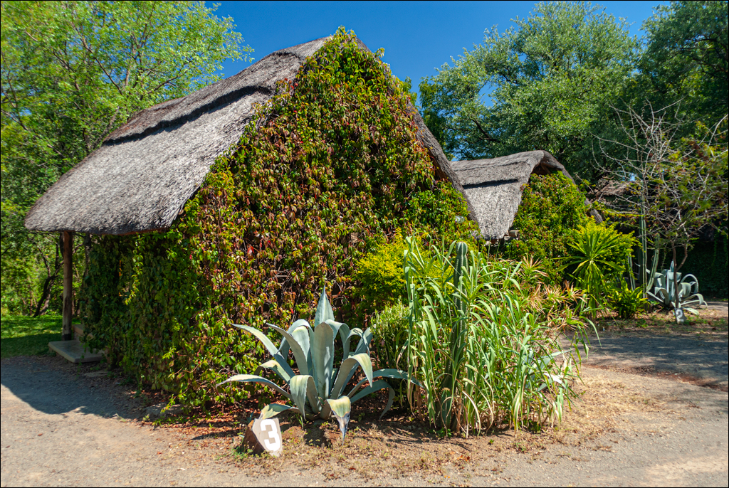 Zambia 20080419 20 110