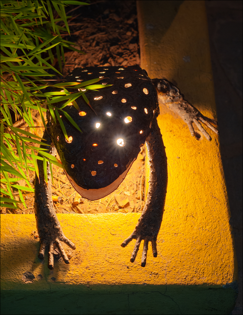 Zambia 20080419 20 158