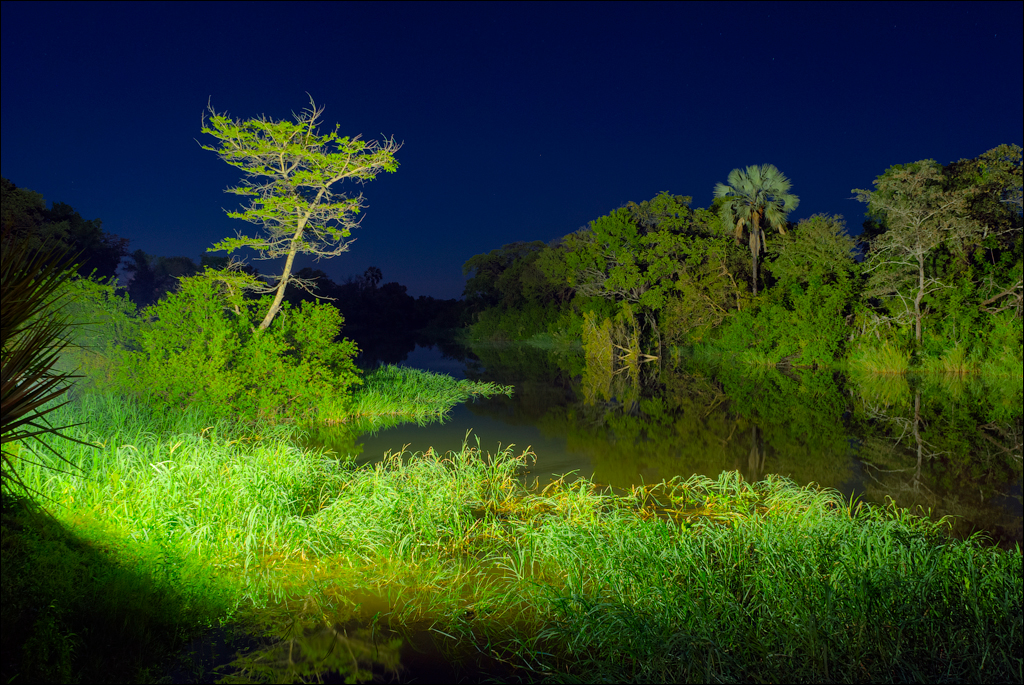 Zambia 20080419 20 159