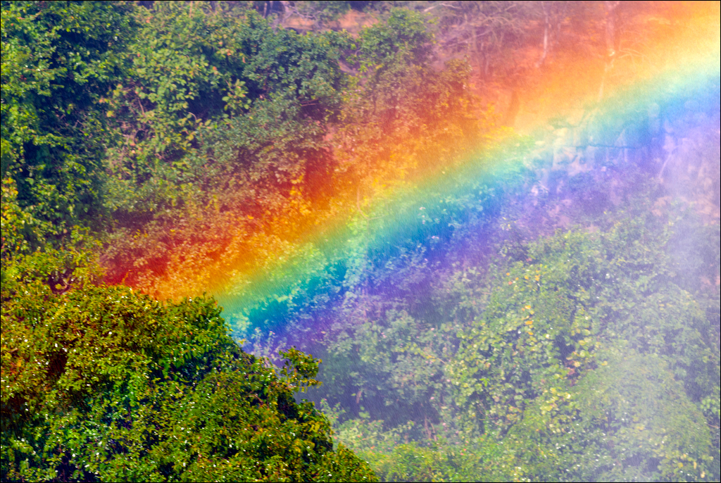 Zambia 20080419 20 168