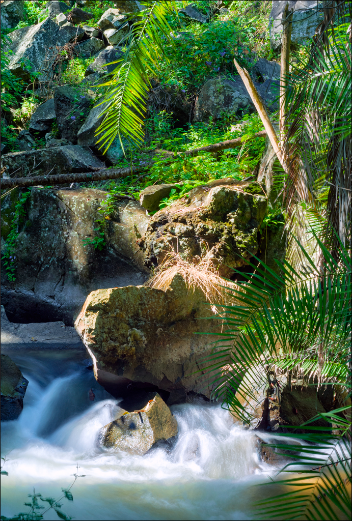 Zambia 20080419 20 181