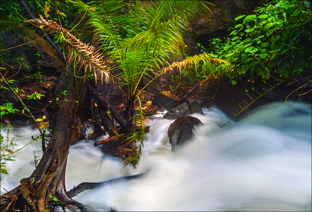 Zambia 20080419 20 194