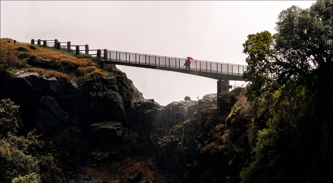 Zambia 20080419 20 209