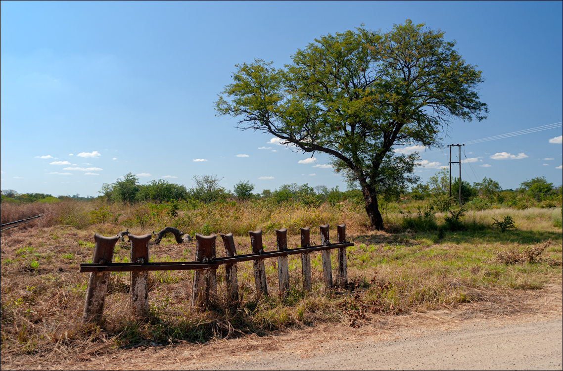 Zambia 20080419 20 216