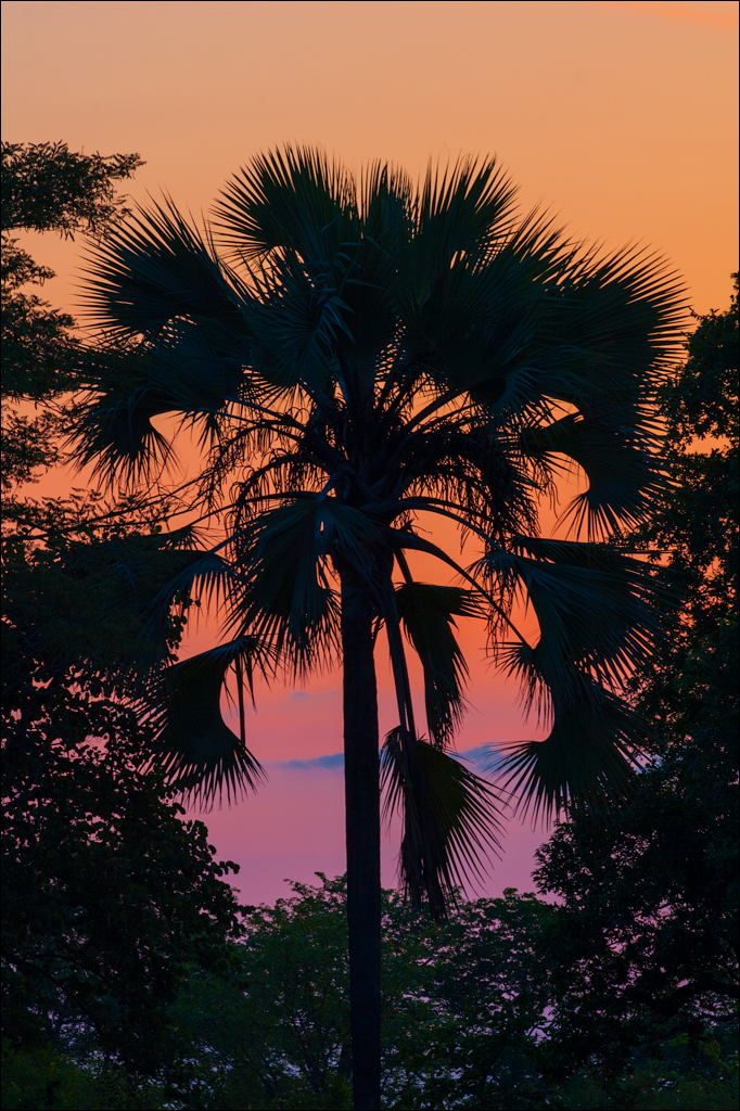 Zambia Mosi feb2007 183