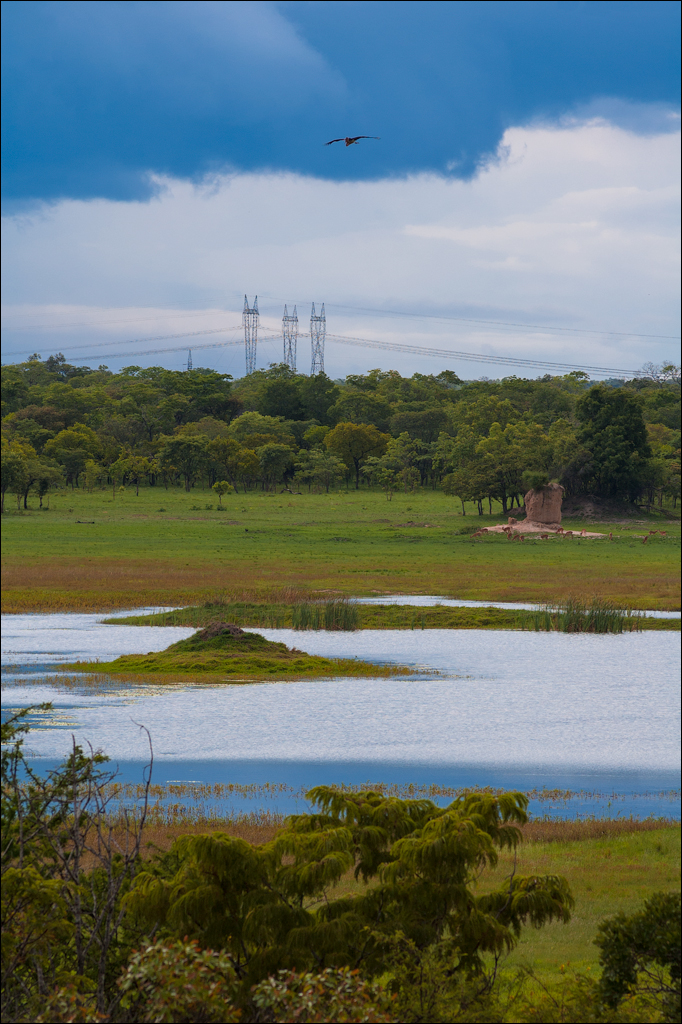 Zambia Chaminuka dec2006 145